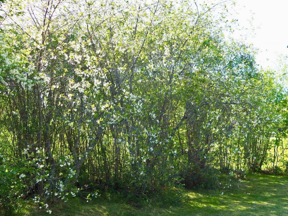 Vila Orsastuguthyrning-Kyrkbyn Exteriér fotografie